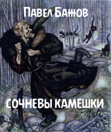 Постер книги Сочневы камешки