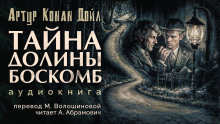 Постер книги Тайна долины Боскомб