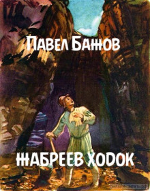 Постер книги Жабреев ходок