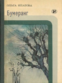 Постер книги Бумеранг