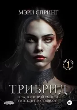 Постер книги Трибрид