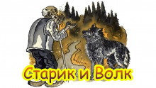 Постер книги Старик и волк