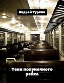 Постер книги Тени полуночного рейса