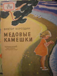 Постер книги Медовые камешки