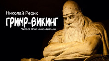 Постер книги Гримр-викинг