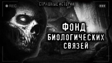 Постер книги Фонд биологических связей