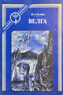 Постер книги Велга