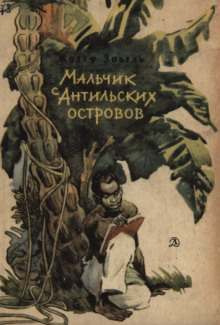 Постер книги Мальчик с Антильских островов