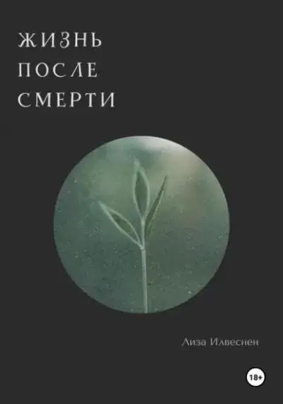 Постер книги Жизнь после смерти