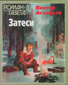 Постер книги Затеси