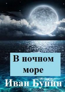 Постер книги В ночном море