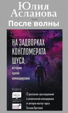 Постер книги После волны