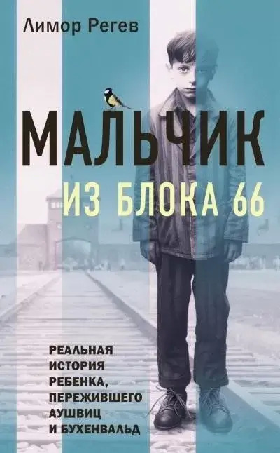 Постер книги Мальчик из Блока 66. Реальная история ребенка, пережившего Аушвиц и Бухенвальд