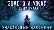 Постер книги Участковый Максимов