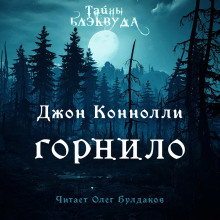 Постер книги Горнило