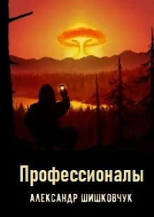 Постер книги Профессионалы