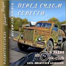 Постер книги Перед судом совести