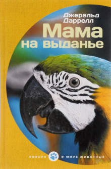 Постер книги Мама на выданье. Рассказы