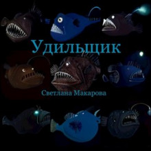 Постер книги Удильщик