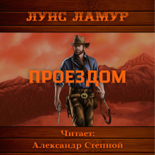 Постер книги Проездом