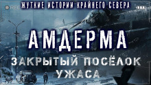 Постер книги Амдерма