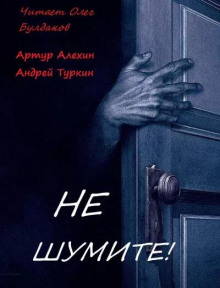 Постер книги Не шумите!