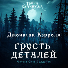 Постер книги Грусть деталей