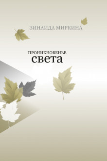 Постер книги Проникновение света