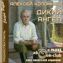 Постер книги Дикий Ангел