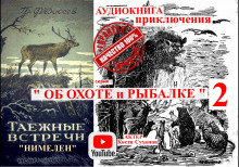 Постер книги Нимелен