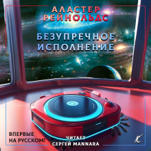 Постер книги Безупречное исполнение