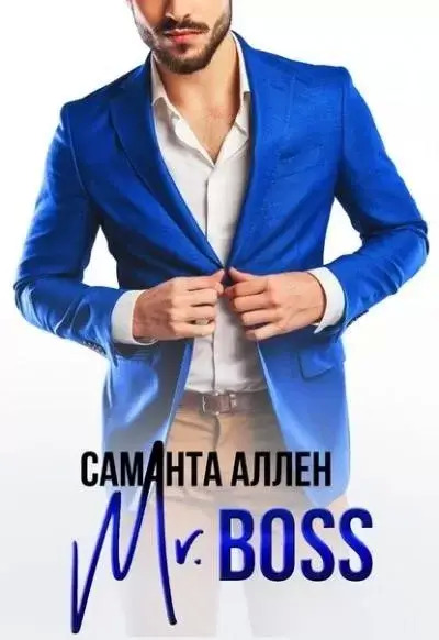 Постер книги Mr.Boss