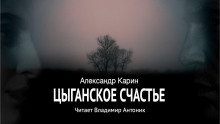 Постер книги Цыганское счастье