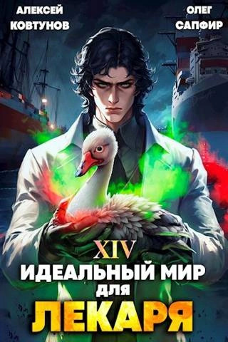 Постер книги Идеальный мир для Лекаря 14