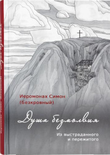 Постер книги Душа безмолвия