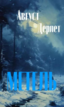 Постер книги Метель