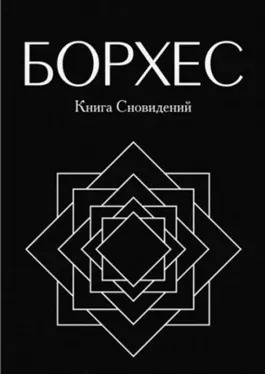 Постер книги Круги руин