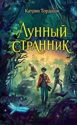 Постер книги Лунный странник