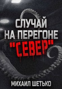 Постер книги Случай на перегоне "Север"