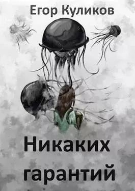 Постер книги Никаких гарантий