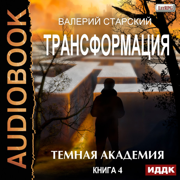 Постер книги Трансформация. Книга 4. Темная академия