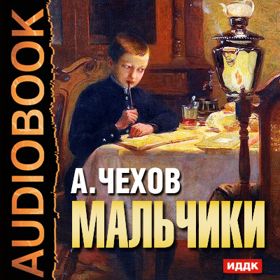 Постер книги Мальчики