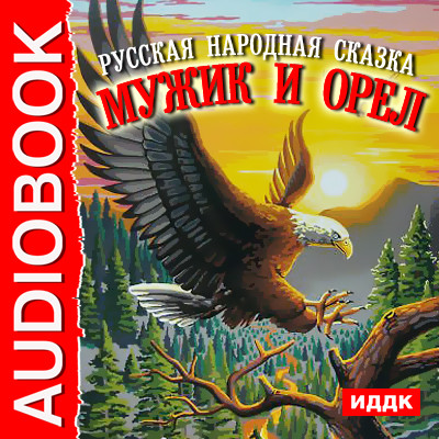 Постер книги Мужик и орел