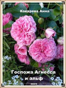 Постер книги Госпожа Агнесса и эльф