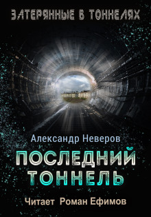 Постер книги Последний тоннель