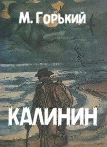 Постер книги Калинин