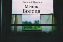 Постер книги Медик Володя