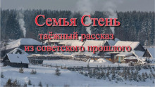 Постер книги Семья Стень