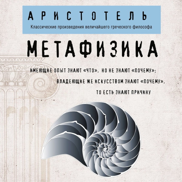 Постер книги Метафизика