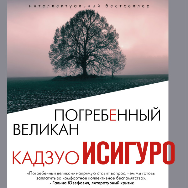 Постер книги Погребенный великан